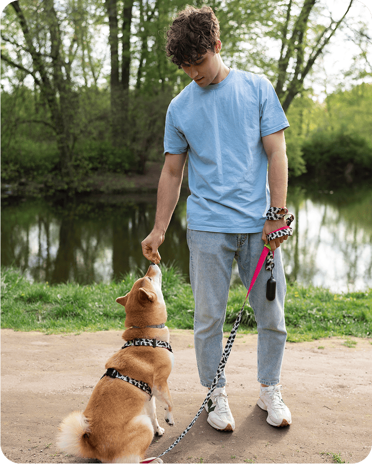 Dog Walking