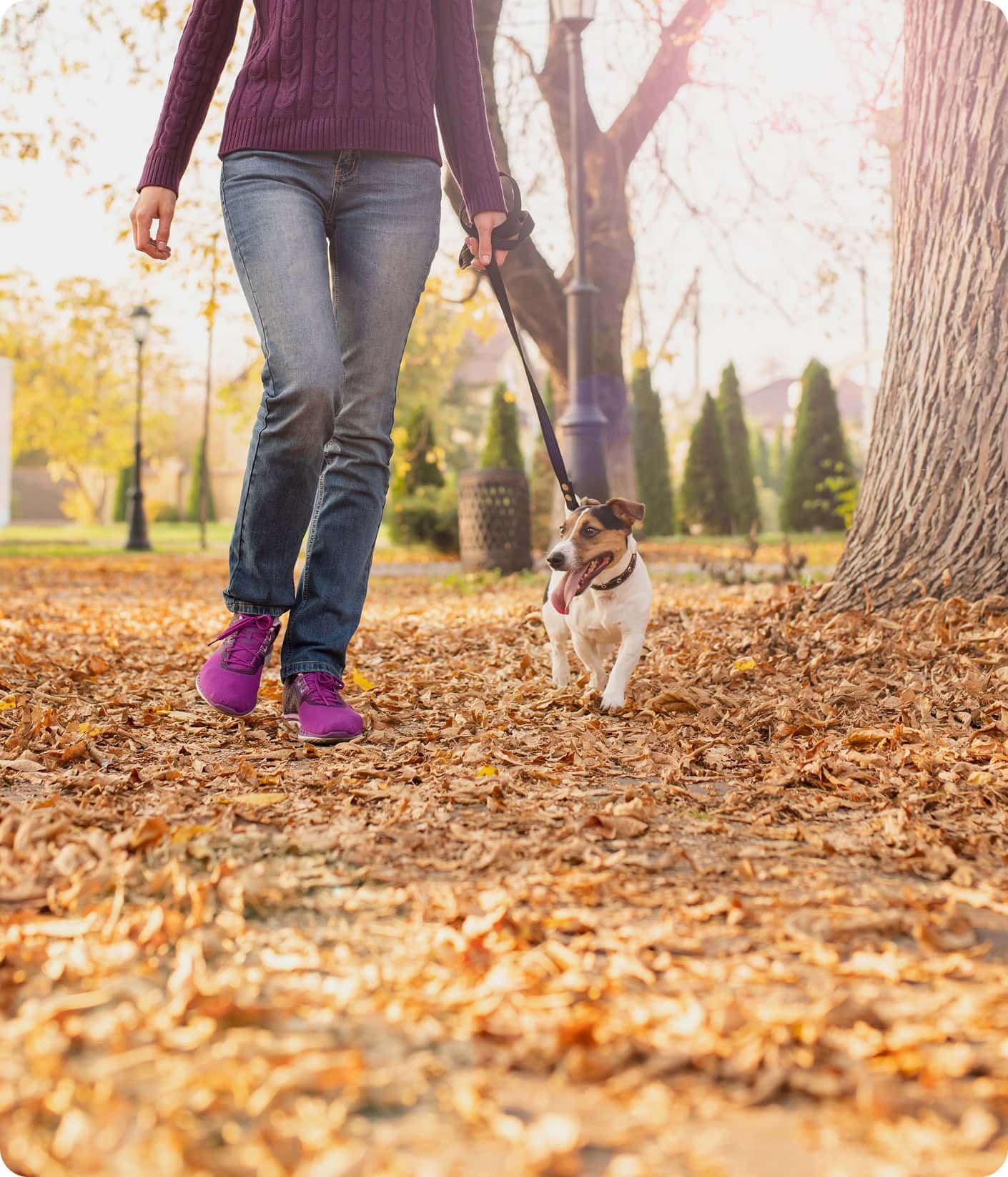Pet Care Specialist