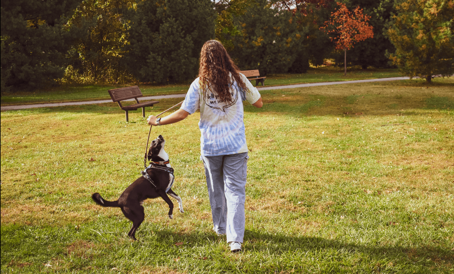 Screenshot 2025-11-19 at 11.13.52 AM