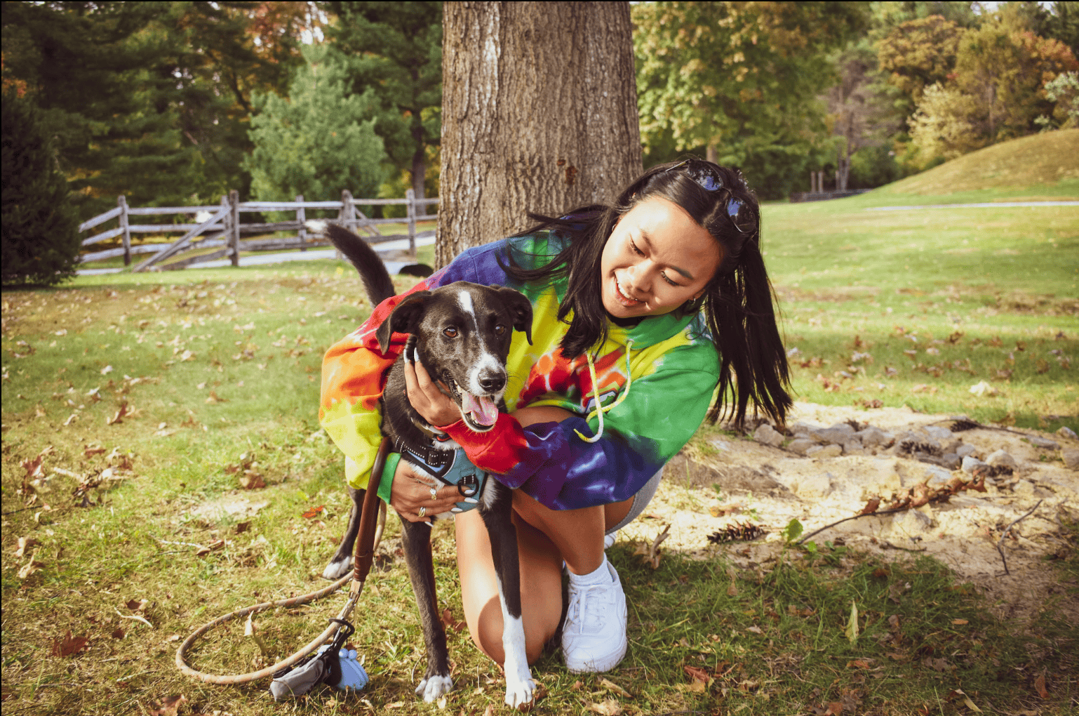 Screenshot 2025-11-19 at 11.16.18 AM